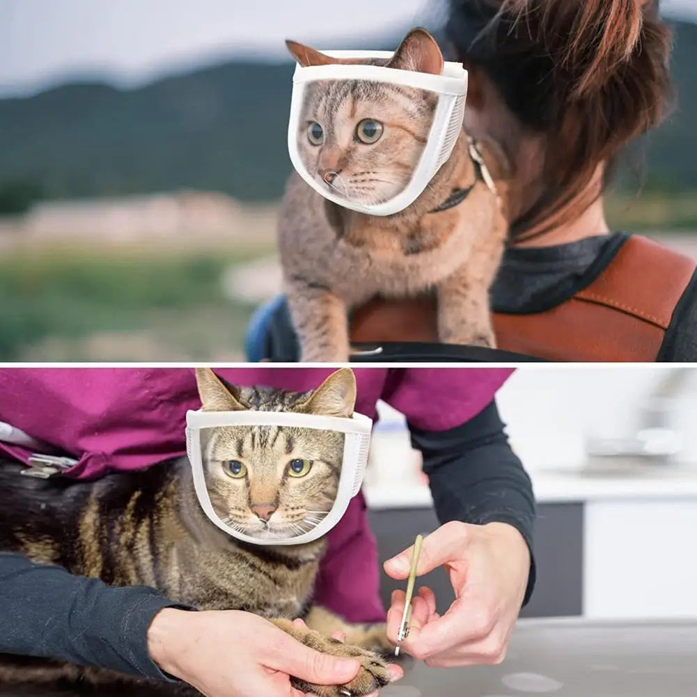 Adjustable Transparent Cat Muzzle for Safe Grooming by HitMyNeed