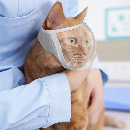 Adjustable Transparent Cat Muzzle for Safe Grooming m by HitMyNeed