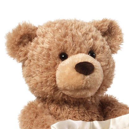 Adorable Talking Peekaboo Bear for Babies by HitMyNeed