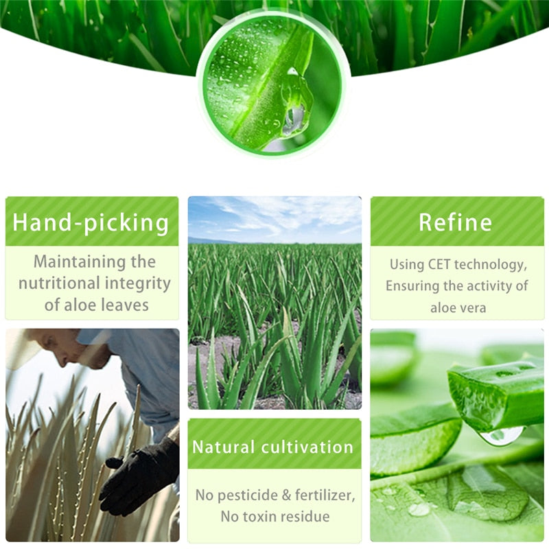 Aloe Vera Face Gel for Daily Skin Care 260ml by HitMyNeed