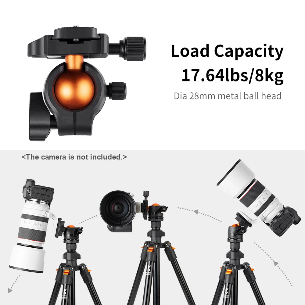 Aluminum Travel Tripod for DSLR with Low Angle Setup by HitMyNeed