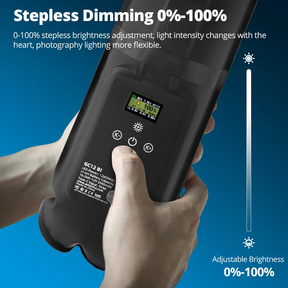 Ambitful GC12 Gold Crow Flexible Inflatable LED Light by HitMyNeed