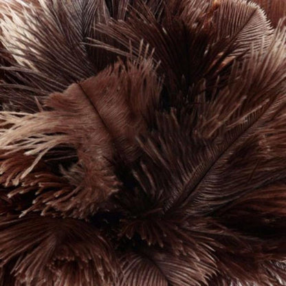 Anti-Static Natural Ostrich Feather Duster by HitMyNeed