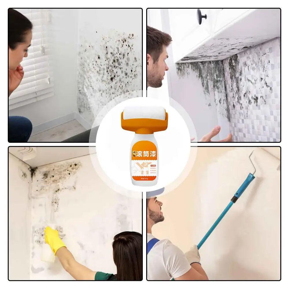 Antibacterial White Wall Repair Paint with Roller 500g by HitMyNeed