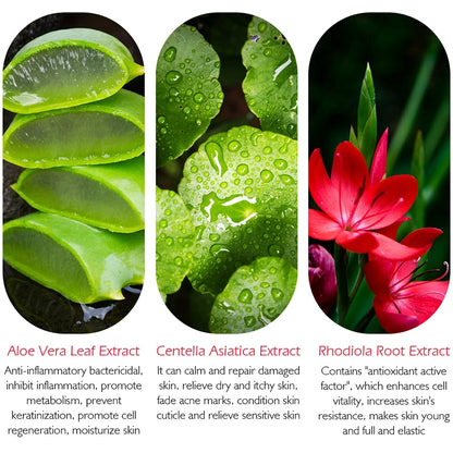 Antioxidant Beauty Cream for Hydration & Fine Lines by HitMyNeed