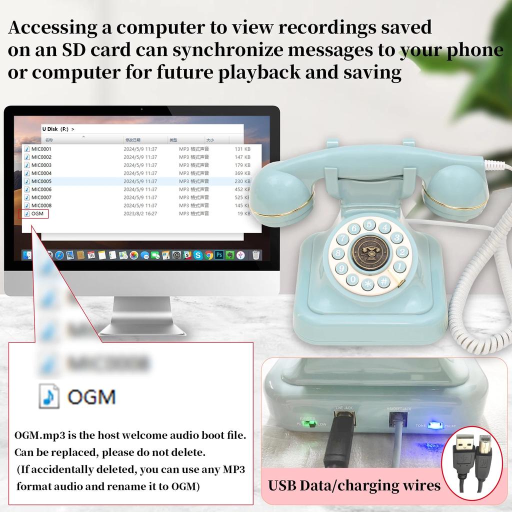 Antique Wedding Guest Phone Audio Message Book by HitMyNeed