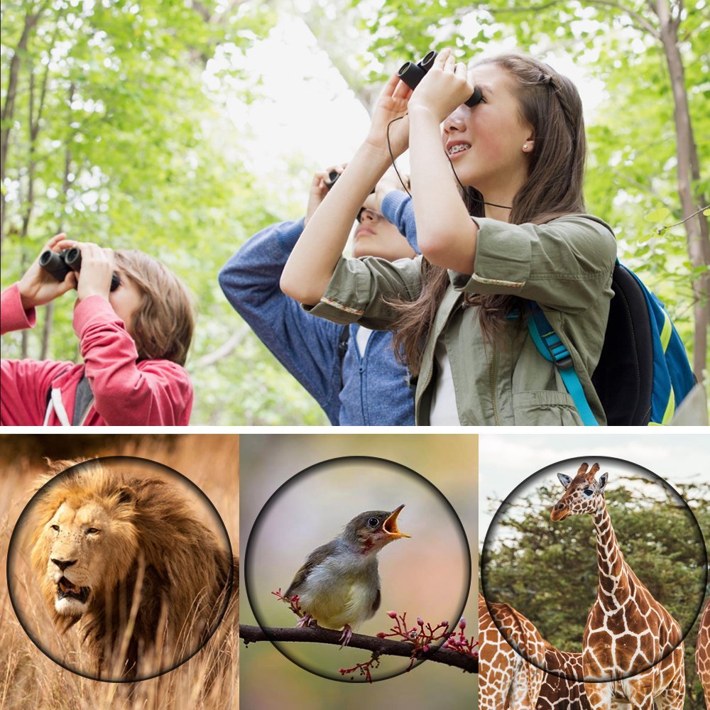APEXEL 8x21 Compact Binoculars for Outdoor Use by HitMyNeed