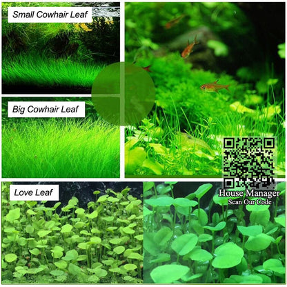 Aquarium Live Plant Seed Mix - 6 Random Packs by HitMyNeed