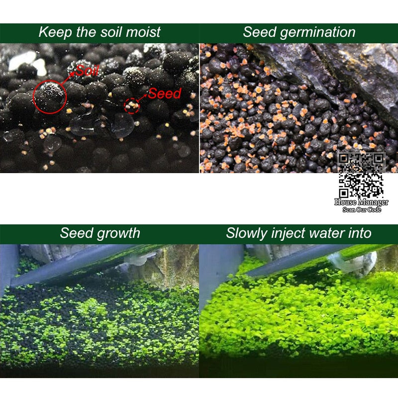 Aquarium Live Plant Seed Mix - 6 Random Packs by HitMyNeed