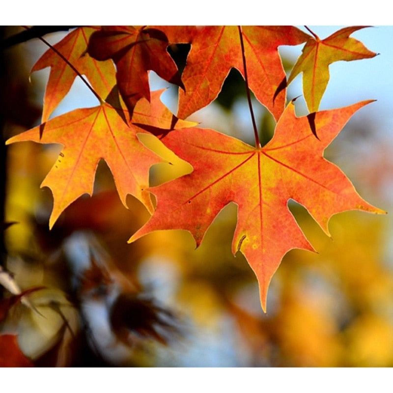 Artificial Autumn Leaves Garland 2.4m by HitMyNeed