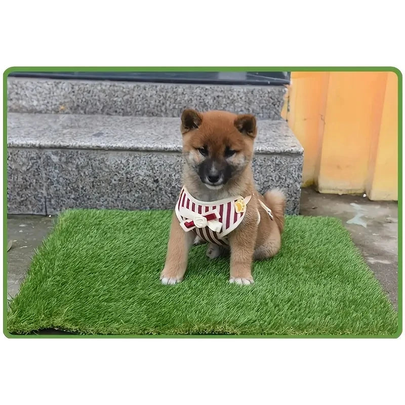 Artificial Grass Dog Potty Pad for Indoor & Outdoor Use 46x71cm by HitMyNeed