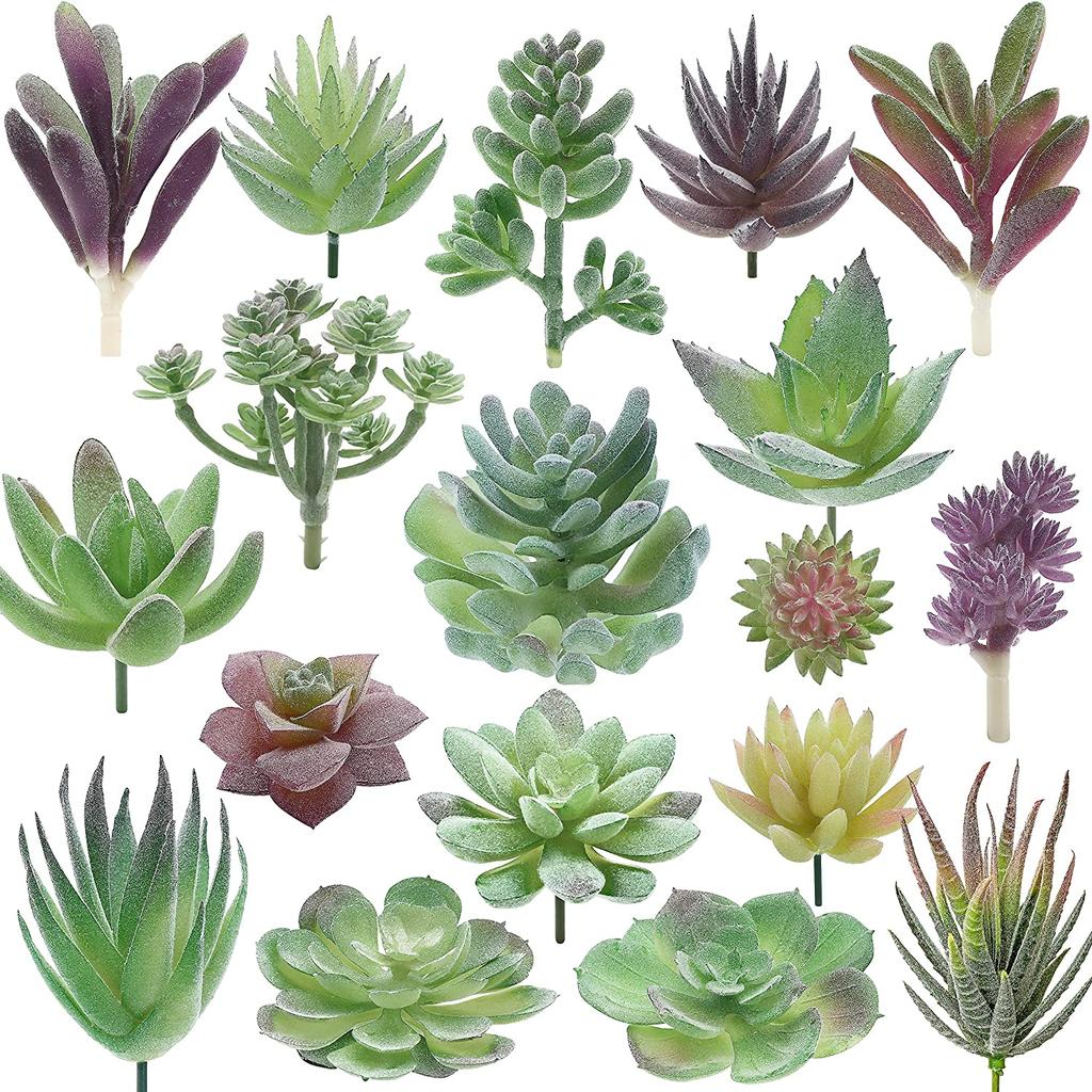 Assorted Artificial Succulent Plants Set (18pcs) by HitMyNeed