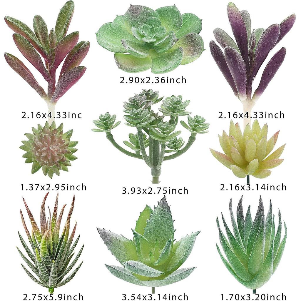 Assorted Artificial Succulent Plants Set (18pcs) by HitMyNeed