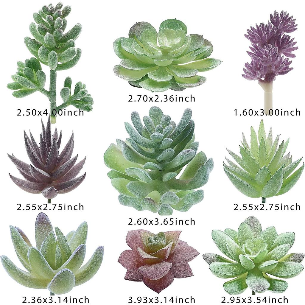 Assorted Artificial Succulent Plants Set (18pcs) by HitMyNeed