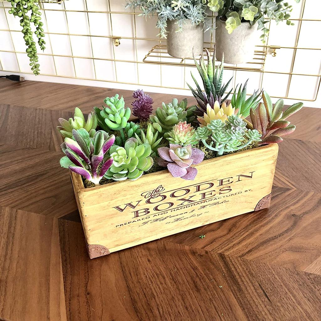 Assorted Artificial Succulent Plants Set (18pcs) by HitMyNeed