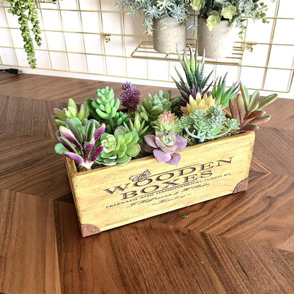 Assorted Artificial Succulent Plants Set (18pcs) by HitMyNeed