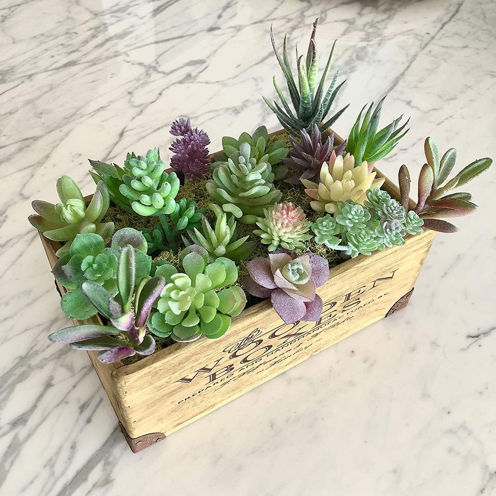 Assorted Artificial Succulent Plants Set (18pcs) by HitMyNeed