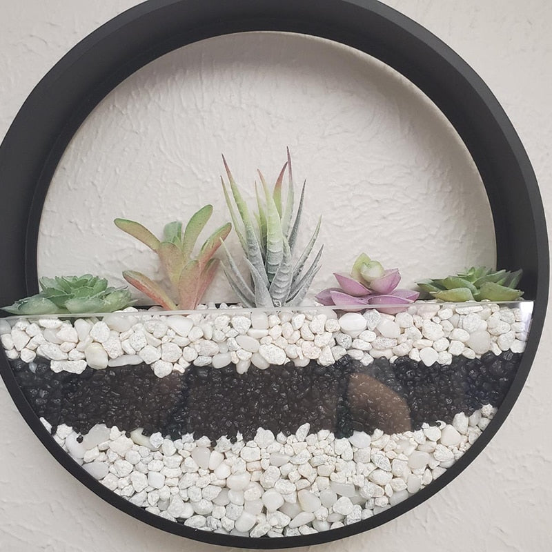 Assorted Artificial Succulent Plants Set (18pcs) by HitMyNeed