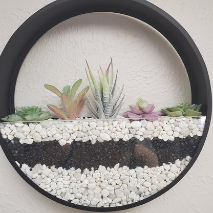 Assorted Artificial Succulent Plants Set (18pcs) by HitMyNeed