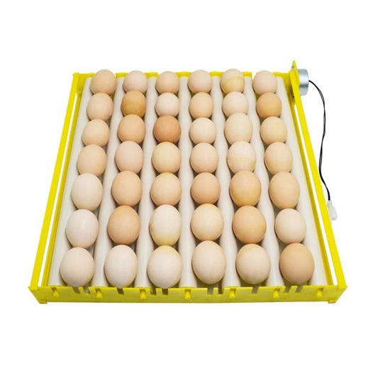 Automatic 360° Egg Turner for Quail and Poultry by HitMyNeed