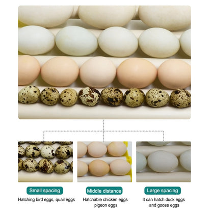 Automatic 360° Egg Turner for Quail and Poultry by HitMyNeed