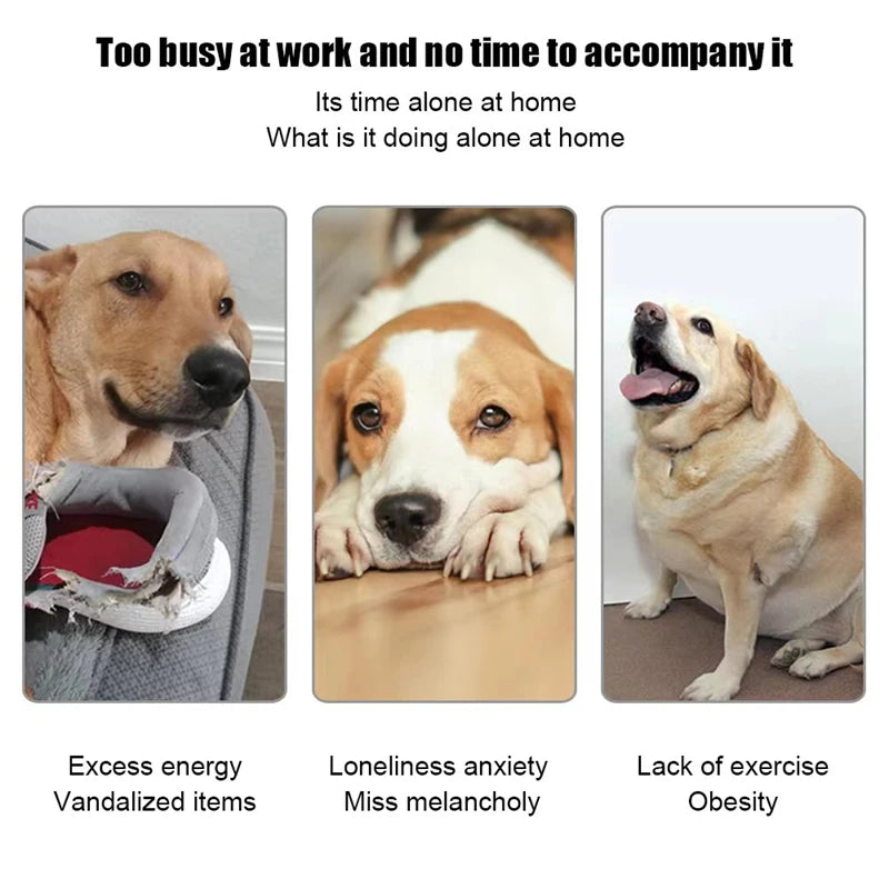 Automatic Dog Tennis Ball Launcher with Rechargeable Power by HitMyNeed