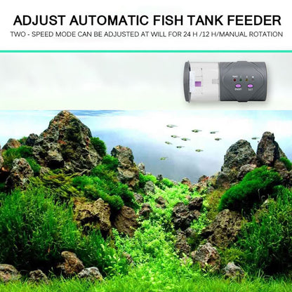 Automatic Fish Feeder with Timer for Aquariums by HitMyNeed