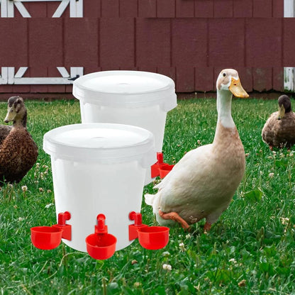 Automatic Poultry Drinking Cups, 2 Pack by HitMyNeed