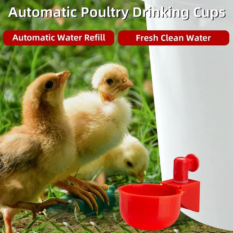 Automatic Poultry Drinking Cups, 2 Pack by HitMyNeed