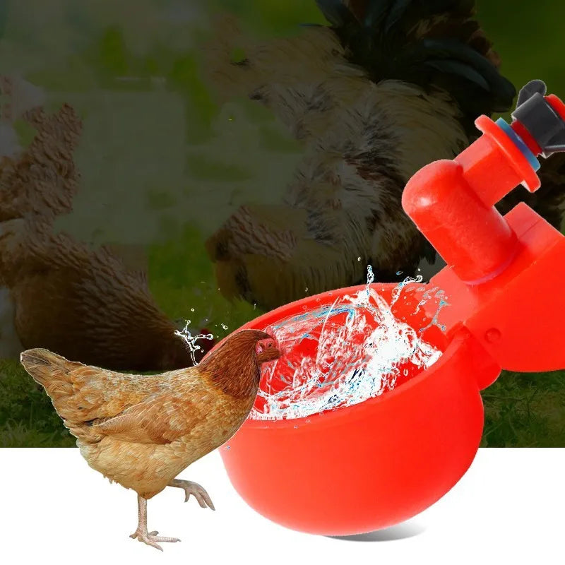 Automatic Poultry Drinking Cups, 2 Pack by HitMyNeed