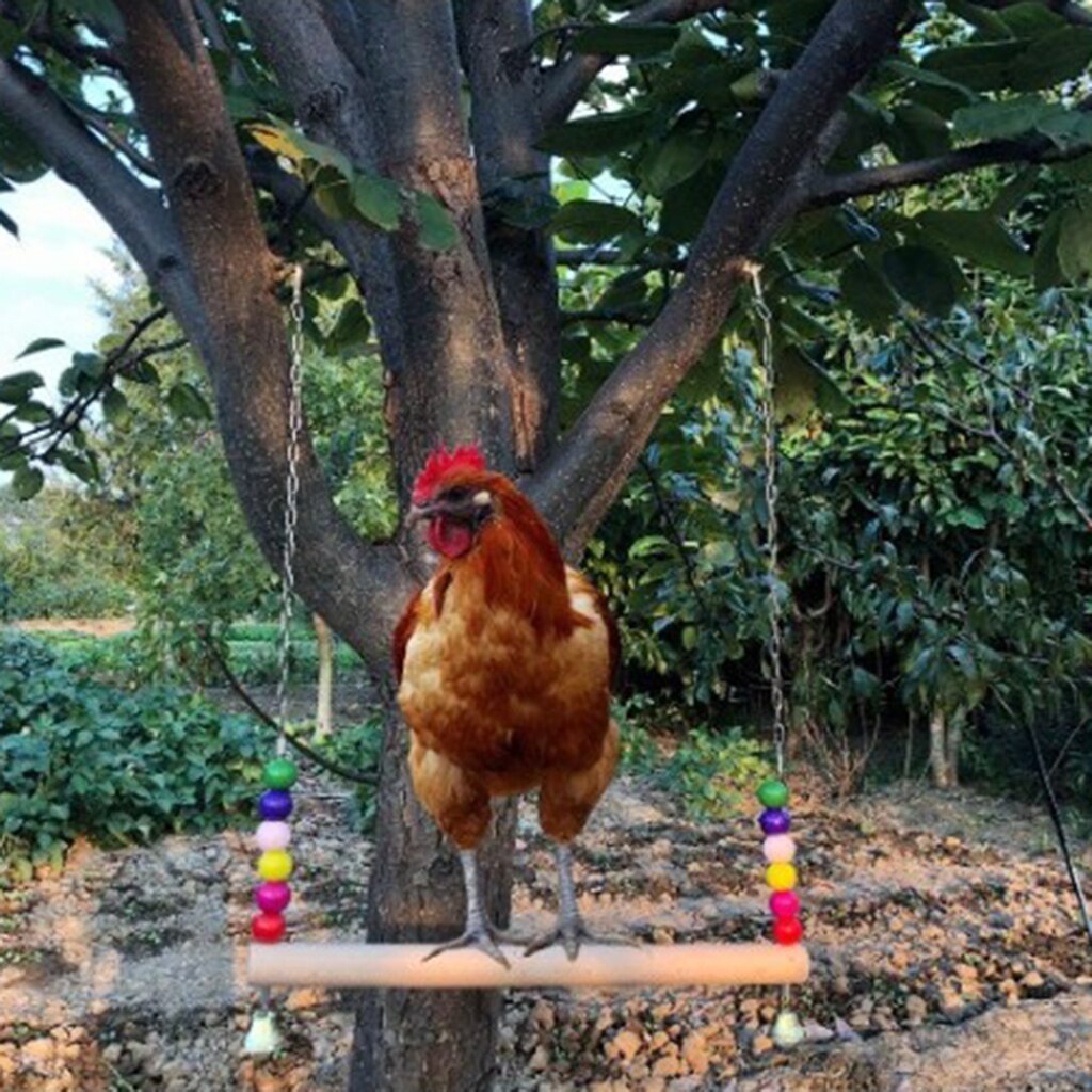 Balance Chicken Swing for Coops and Aviaries by HitMyNeed