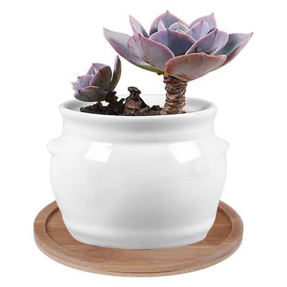 Bamboo Mini Plant Saucer Dish 9.5 cm by HitMyNeed