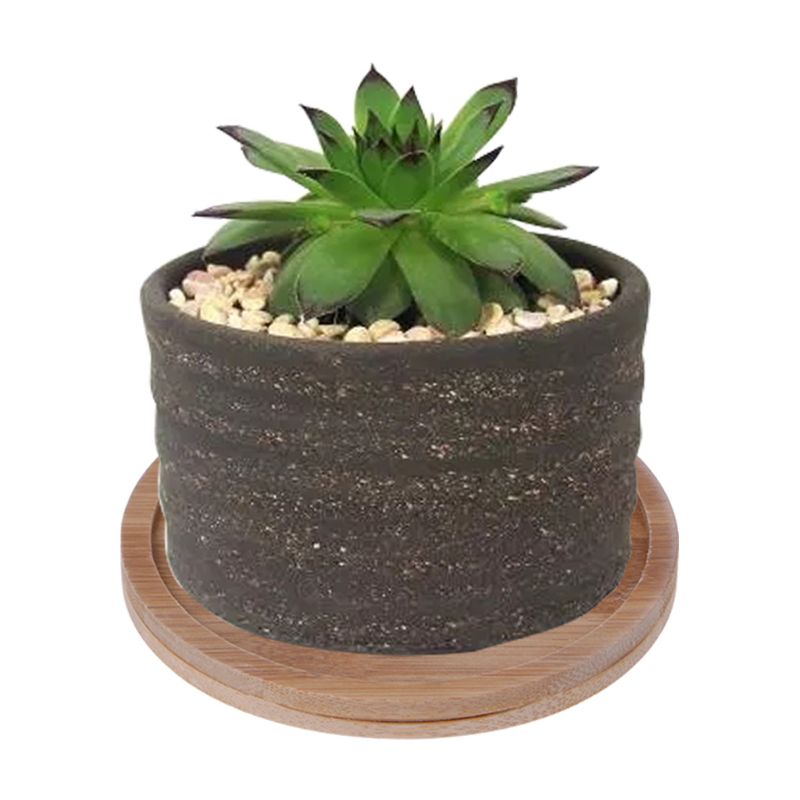 Bamboo Mini Plant Saucer Dish 9.5 cm by HitMyNeed