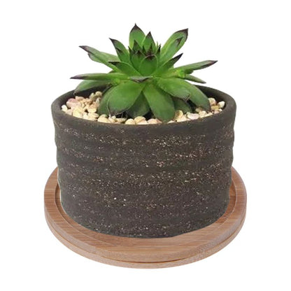 Bamboo Mini Plant Saucer Dish 9.5 cm by HitMyNeed