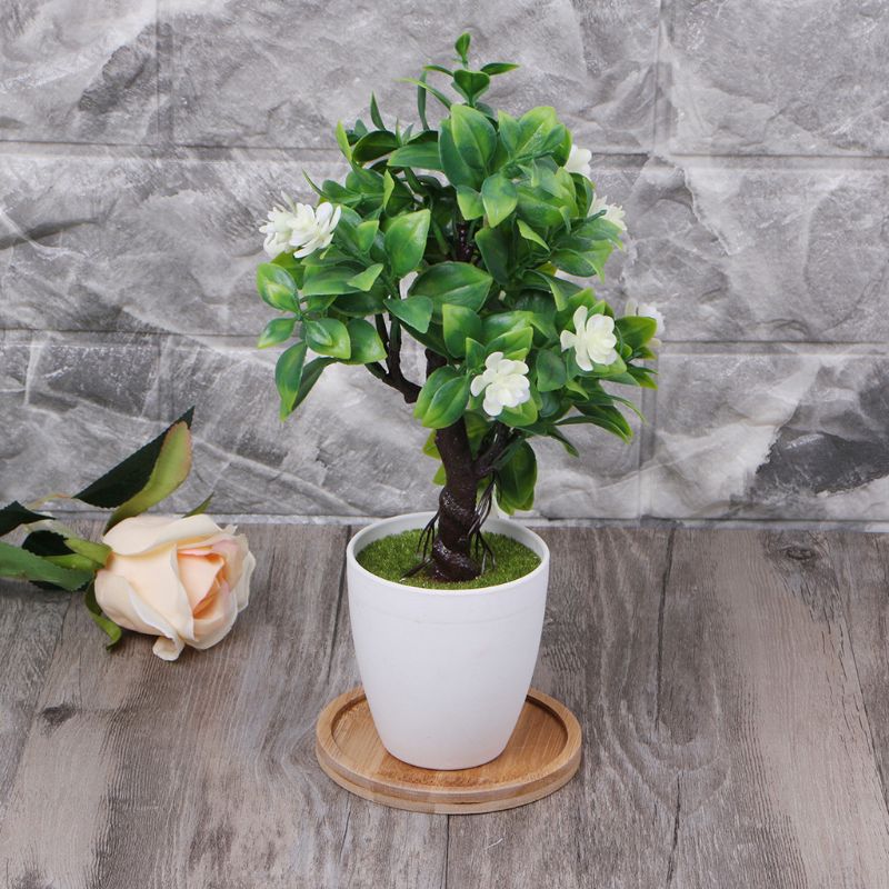 Bamboo Mini Plant Saucer Dish 9.5 cm by HitMyNeed