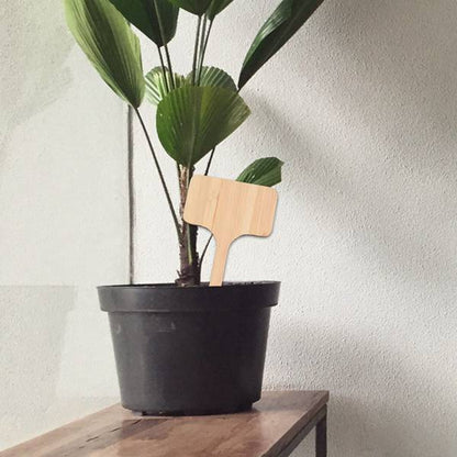 Bamboo Wooden Plant Labels Garden Tags (50 Pack) by HitMyNeed