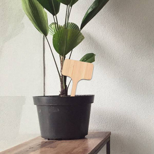 Bamboo Wooden Plant Labels Garden Tags (50 Pack) by HitMyNeed