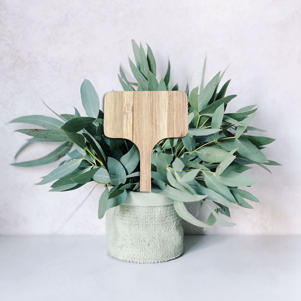 Bamboo Wooden Plant Labels Garden Tags (50 Pack) by HitMyNeed