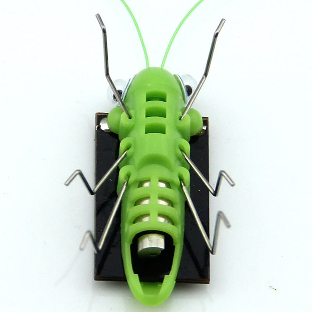 Battery-Free Solar Grasshopper Bug Toy by HitMyNeed