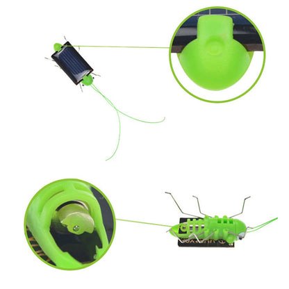 Battery-Free Solar Grasshopper Bug Toy by HitMyNeed