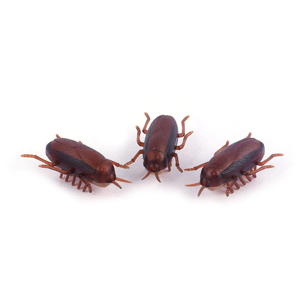 Battery-Operated Running Cockroach Prank Toy by HitMyNeed