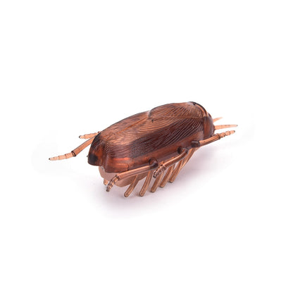 Battery-Operated Running Cockroach Prank Toy by HitMyNeed