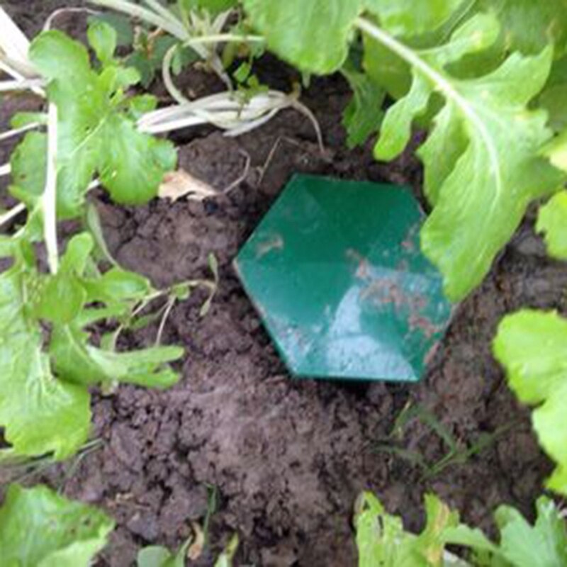 Beer Snail and Slug Traps for Gardens (8 Pack) by HitMyNeed
