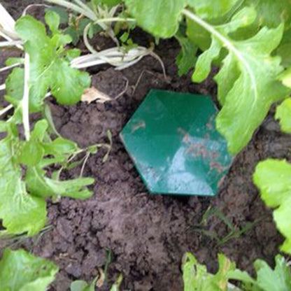 Beer Snail and Slug Traps for Gardens (8 Pack) by HitMyNeed