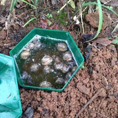 Beer Snail and Slug Traps for Gardens (8 Pack) by HitMyNeed