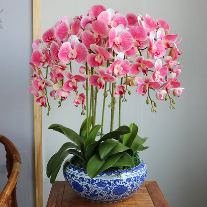 Big Realistic Artificial Orchid Stem, 96 cm by HitMyNeed