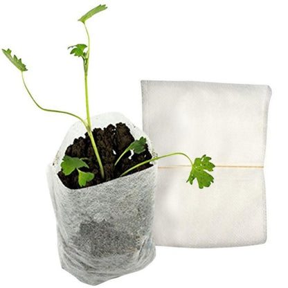 Biodegradable Seedling Grow Bags 8x10cm (100 Pack) by HitMyNeed