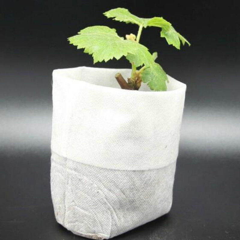 Biodegradable Seedling Grow Bags 8x10cm (100 Pack) by HitMyNeed