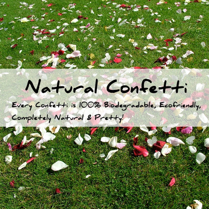 Biodegradable Wedding Confetti Natural Flower Petals by HitMyNeed