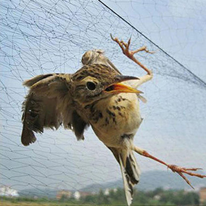 Bird Netting Mesh for Gardens, Ponds & Fruit Trees 3m-x-6m by HitMyNeed